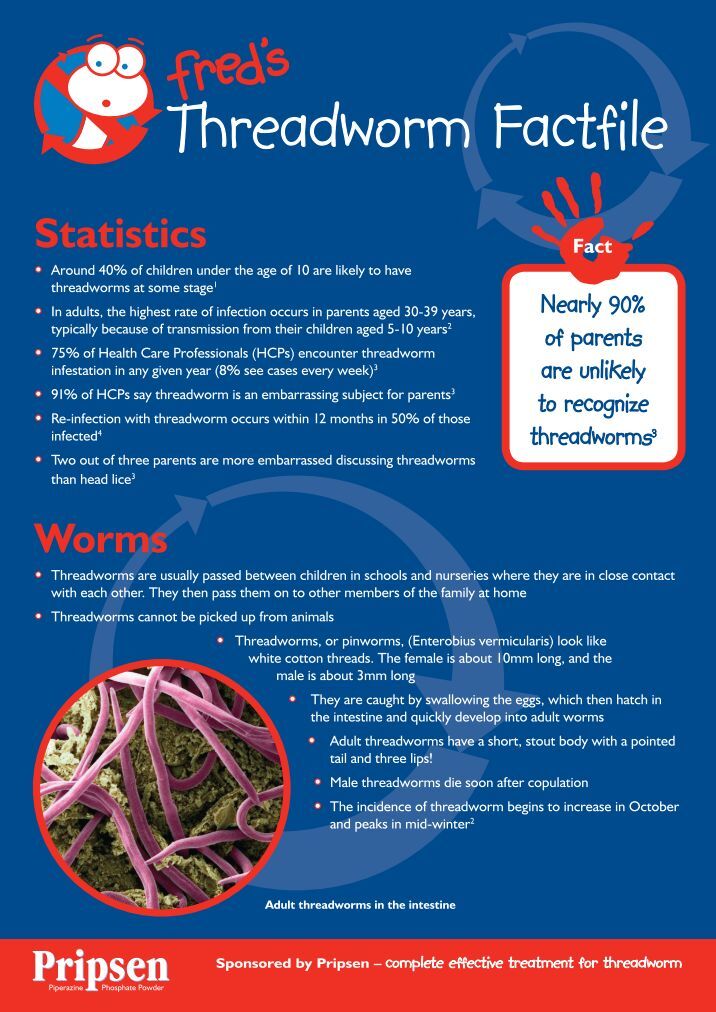 Threadworms adults