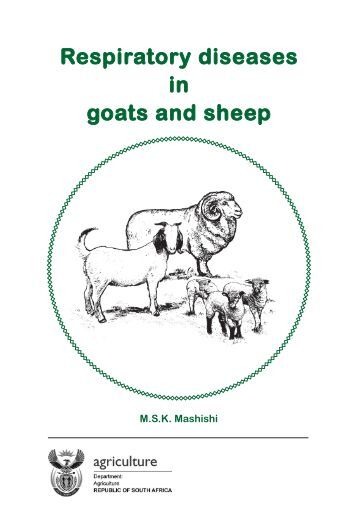ommon and important diseases of sheep and goats - agric
