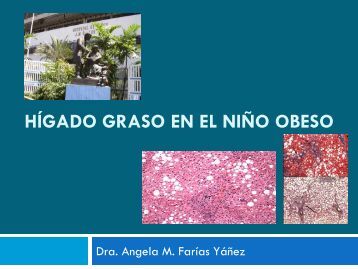 Características / Grasa Características / Grasa