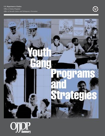 Youth Gang Programs And Strategies