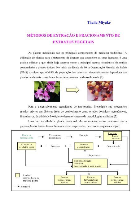 Técnicas extrativas e fracionamento de extratos vegetais