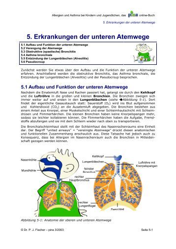 shop experimental methods in catalytic research