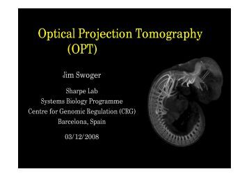 optical projection tomography Optical projection tomography (opt) is a 3-dimentional (3d) imaging technique for small specimens between 1mm and 10mm in size due to its high resolution and whole. optical projection tomography Optical projection tomography (opt) is a 3-dimentional (3d) imaging technique for small specimens between 1mm and 10mm in size due to its high resolution and whole.