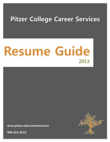 resume critique checklist