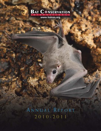 Bat conservation international