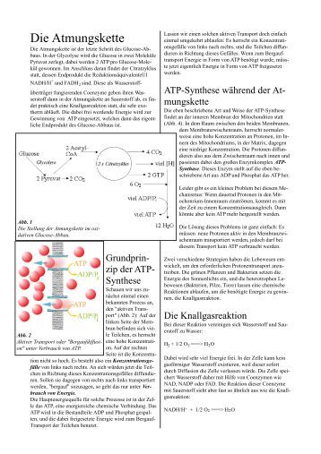 Atmungskette Magazine