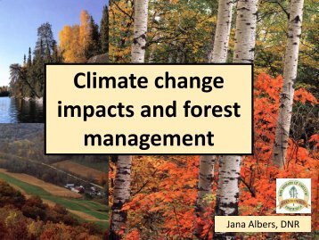 failure of community forest based management Community-based forest management (cbfm) constitutes “a powerful paradigm that evolved out of the failure of state forest governance to ensure the sustainability of forest resources and the. failure of community forest based management Community-based forest management (cbfm) constitutes “a powerful paradigm that evolved out of the failure of state forest governance to ensure the sustainability of forest resources and the.