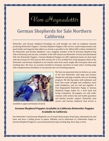 german shepherd puppies for sale in northern california 7 health guarantee vert german shepherd puppies for sale in northern california 7 health guarantee vert