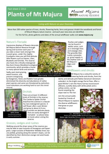 Botanical gardens south yarra melbourne vegetation for algernon man or woman fees