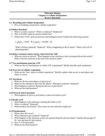 biology and review questions Review of cell structure cell respiration introduction to cell respiration meiosis review of cell reproduction molecular biology structure of nucleic acids dna replication and repair dna transcription post-transcriptional rna processing genetic code dna translation review of. biology and review questions Review of cell structure cell respiration introduction to cell respiration meiosis review of cell reproduction molecular biology structure of nucleic acids dna replication and repair dna transcription post-transcriptional rna processing genetic code dna translation review of.