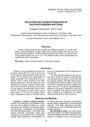 isolation characterization bacteria thesis Isolation and identification of bacteria thesis click here isolation and identification of bacteria thesis. isolation characterization bacteria thesis Isolation and identification of bacteria thesis click here isolation and identification of bacteria thesis.