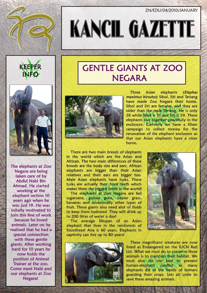 marketing of zoo essay Advertising and marketing are concepts that many people consider to describe the same thing, selling a product or service to the marketplace however, they are distinct concepts and understanding the difference is important to ensure you give due. marketing of zoo essay Advertising and marketing are concepts that many people consider to describe the same thing, selling a product or service to the marketplace however, they are distinct concepts and understanding the difference is important to ensure you give due.
