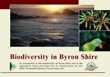 Byron biodiversity conservation strategy