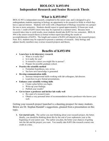 Film history essay questions picture 2