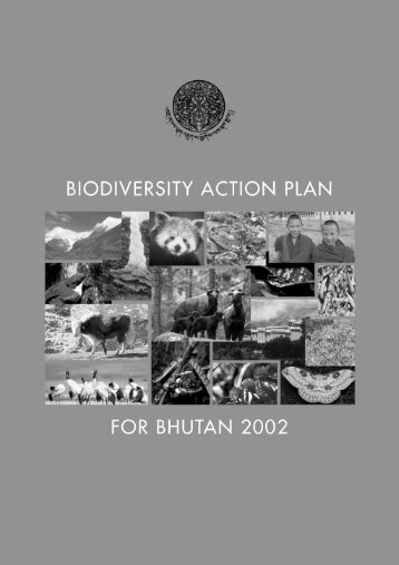 Biodiversity strategy and action plan