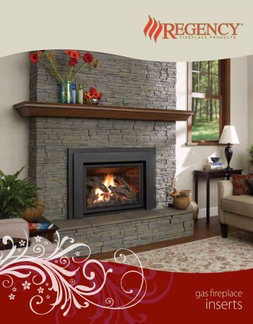Fireplace Inserts Regency Fireplace Inserts