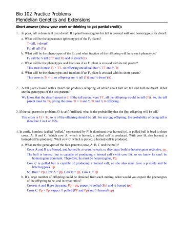 mendelian genetics problems with answers pdf