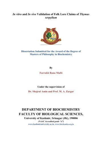 Msc thesis pdf