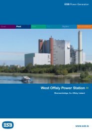 West Offaly Power Station Overview - ESB