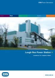 Lough Ree Power Station Overview - ESB