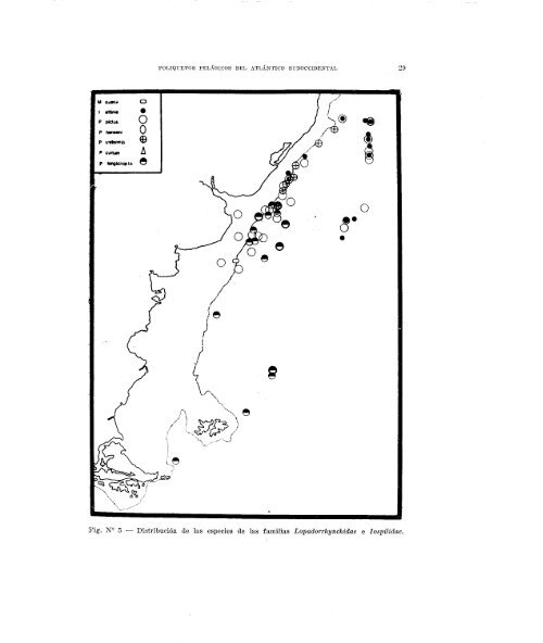 Bol.IBM 21 - Census of Marine Zooplankton