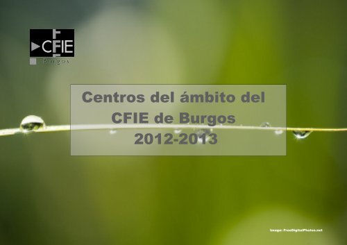 Centros cfie de burgos 20122013