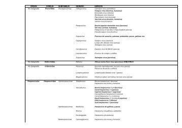 ORDEN FAMILIA SUBFAMILIA GENERO ESPECIE No designado ...