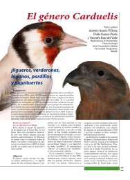 El género Carduelis