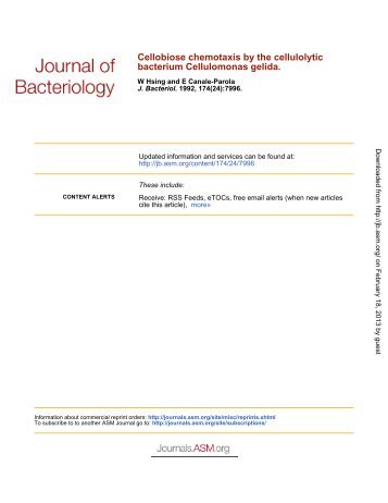 Cellulomonas gelida - Journal of Bacteriology - American Society for ...