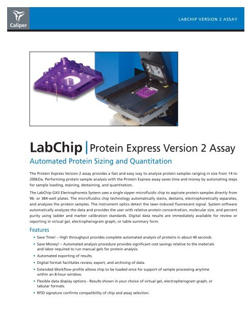 LabChip |protein express Version 2 assay