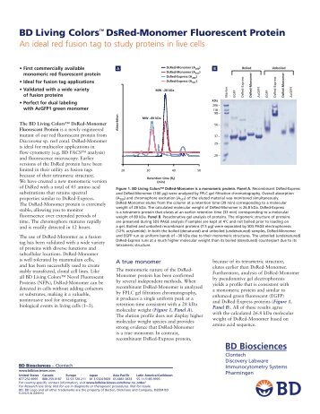 BD Living Colors™ DsRed-Monomer Fluorescent Protein