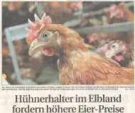 Hühnerhalterim Elbland fordernhöhereEier-Preise - Lommatzsch.Net
