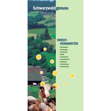 direkt - Landschaftsentwicklungsverband Mittlerer Schwarzwald eV