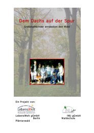 Waldtage - LebensWelt gGmbH