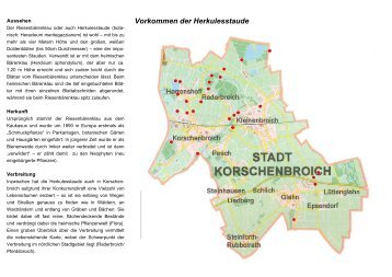 Informationsbroschüre über die Herkulesstaude - Stadt ...