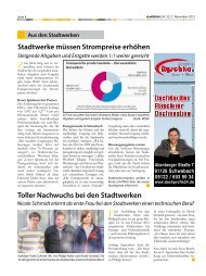 stadtblick-Auszug vom 07.11.2012 (PDF)
