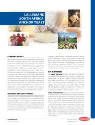 LALLEMAND SOUTH AFRICA: ANCHOR YEAST