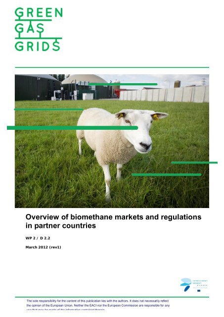 Overview of biomethane markets and regulations ... - Green Gas Grids