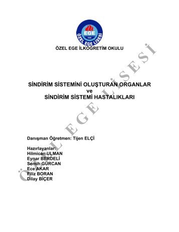 Sindirim Sistemini Oluşturan Organlar ve Sindirim - Özel Ege Lisesi