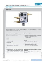 Gas mixer MM-Flex - WITT Gasetechnik GmbH