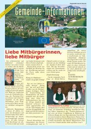 (1,28 MB) - .PDF - Altmünster