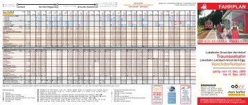 Taschenfahrplan 2010 GV-LV - Stern & Hafferl