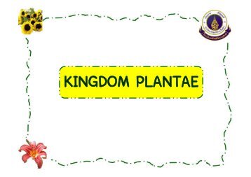 Kingdom Plantae