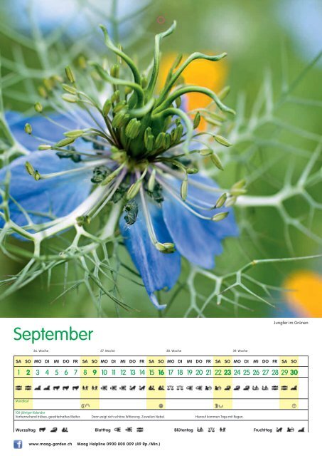 Maag Gartenkalender 2012 (3.51 MB) - Bürgi.ch AG