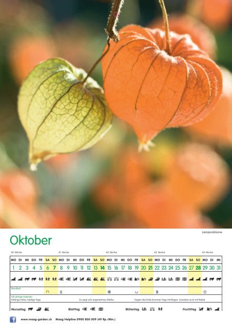 Maag Gartenkalender 2012 (3.51 MB) - Bürgi.ch AG