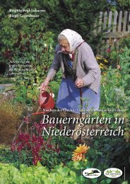 Bauerngärten in Niederösterreich - Institut für ökologischen ...