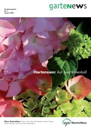 Hortensien - Wyss