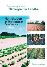 Nematoden in Ökologischen Gemüsebau