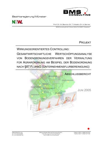 Abschlussbericht zu dem Projekt "Wirkungsorientiertes Controlling"