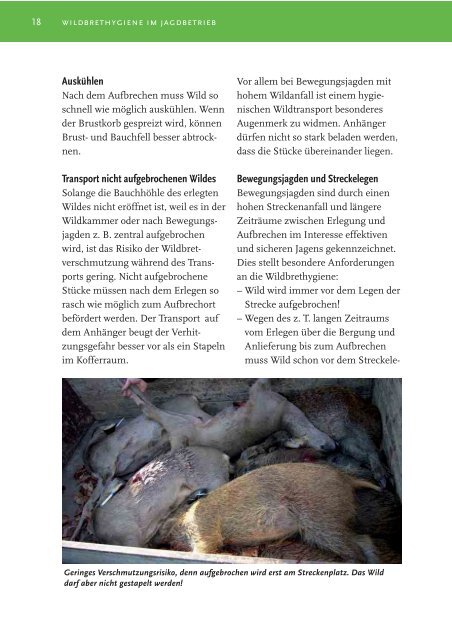 Wildbrethygiene - Ministerium für Ländlichen Raum und ...